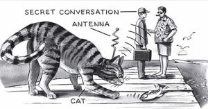 Operation Acoustic Kitty