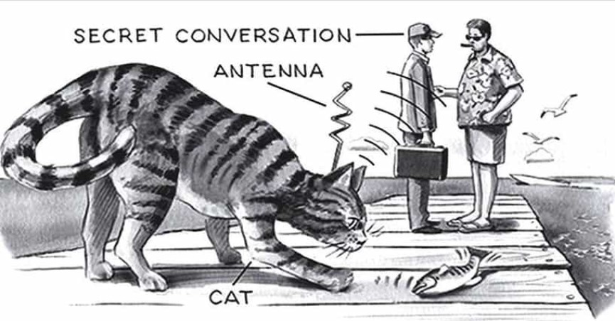 Operation Acoustic Kitty