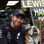 Roscoe el perro famoso de Hamilton