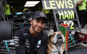Roscoe el perro famoso de Hamilton