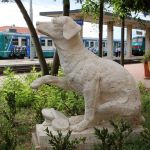 Lampo el perro que viajaba por Italia en tren