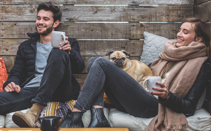 consejos para adoptar o comprar mascota