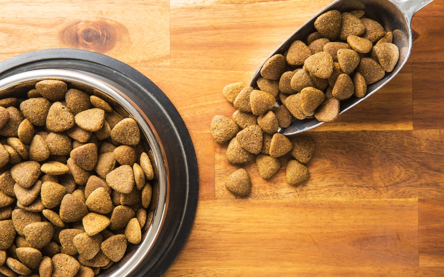 alimentar a perro con producto de pienso