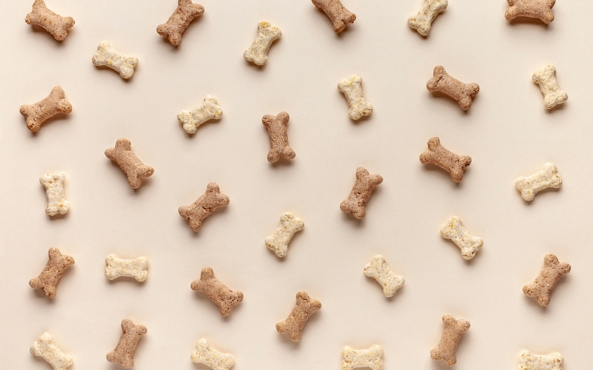 productos con cereales para alimentar a un perro