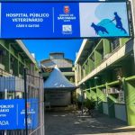 Atención veterinaria en Sao Paulo