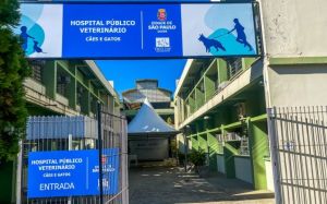 Atención veterinaria en Sao Paulo