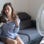 aire acondicionado perros