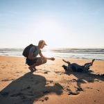 playas para perros