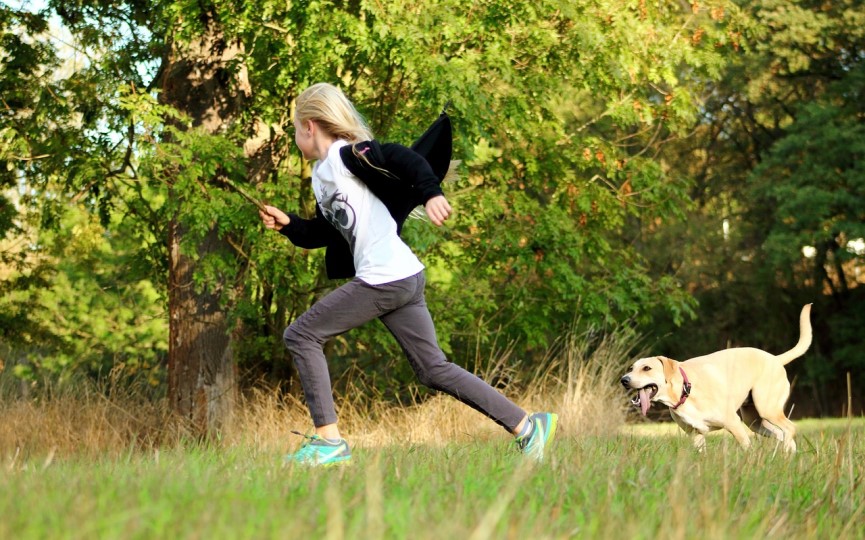 cambiar la rutina de perros en verano