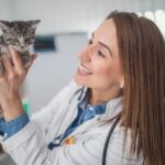 medir dolor gatos