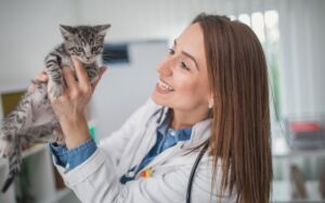medir dolor gatos