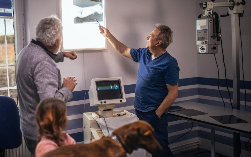 radiografías veterinaria