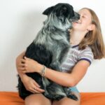 memoria de los perros