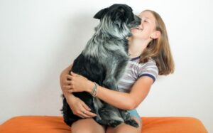 memoria de los perros