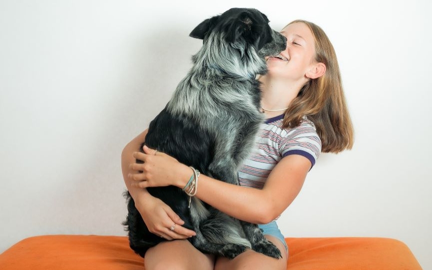 memoria de los perros