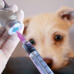 antivacunas