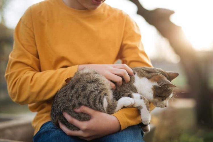 qué gato elegir con niños pequeños en casa