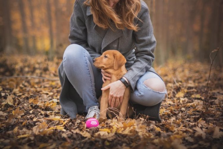 ACARICIAR A UN PERRO