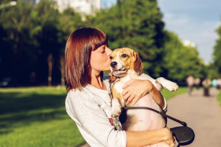 Españoles prefieren su mascota a los humanos