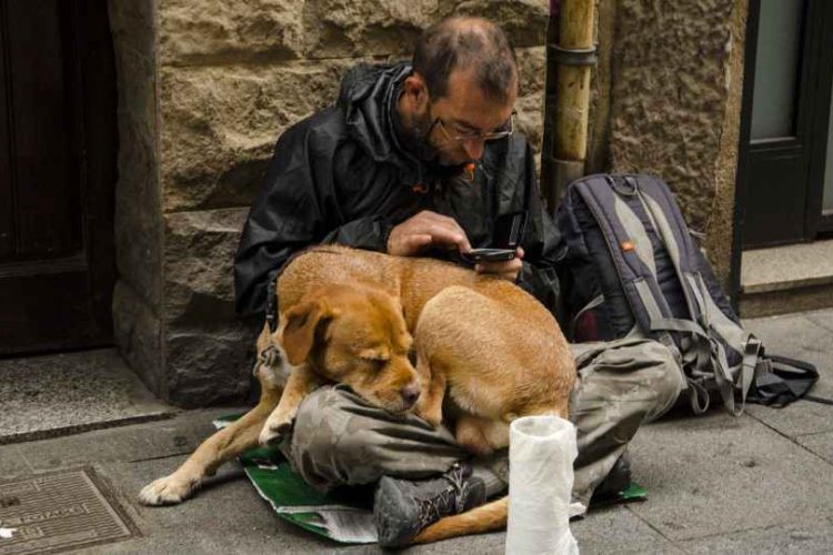 PERSONAS-SIN-HOGAR-CON-MASCOTAS