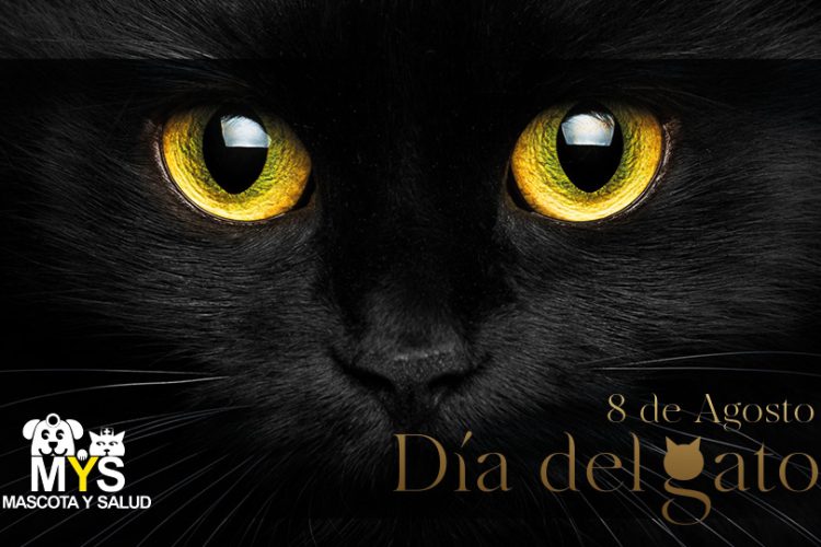 Día del Gato