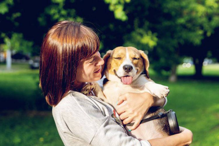 TENER PERRO BENEFICIA AL CORAZÓN