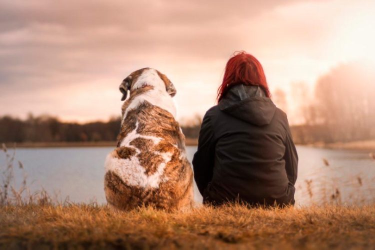 TENER PERRO REDUCE RIESGOS CARDIOVASCULARES