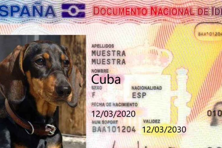 DNI Animal por el Anteproyecto de Ley