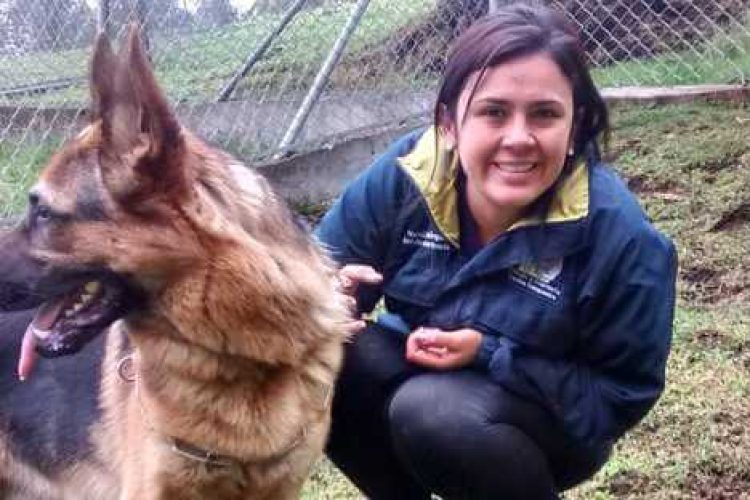 Etóloga canina con un pastor alemán
