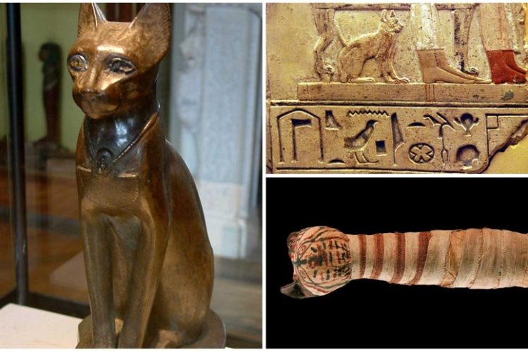 gatos en el Antiguo Egipto