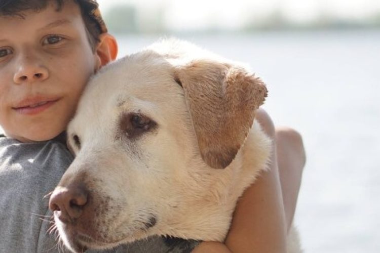 Convivir con una mascota es beneficioso para los niños