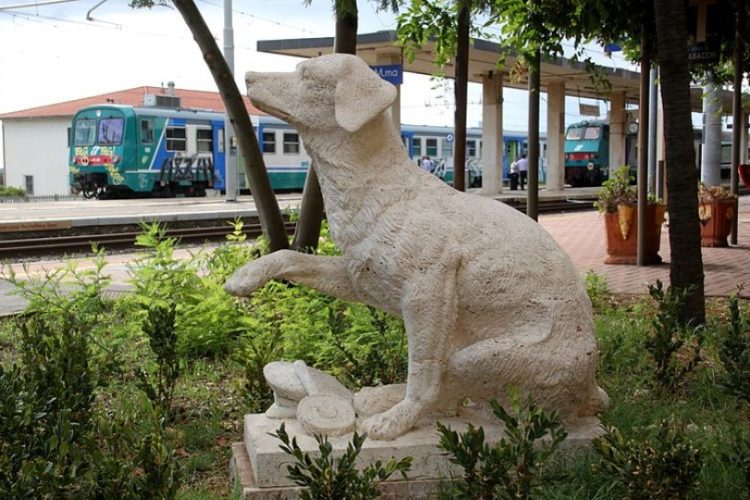 Lampo el perro que viajaba por Italia en tren