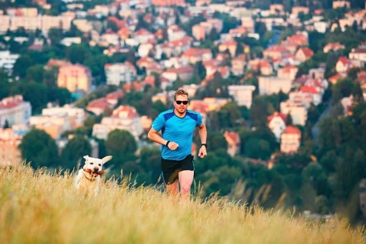 lesiones habituales en perros que practican deporte