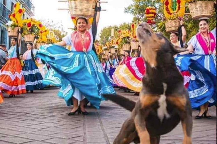 Mazapán bailando en el desfile