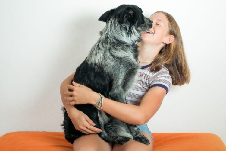 memoria de los perros