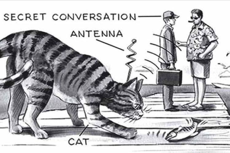 Operation Acoustic Kitty
