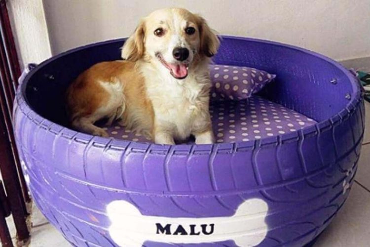 Cama para perro que antes era un neumático