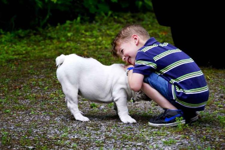 Chico juega con su perro