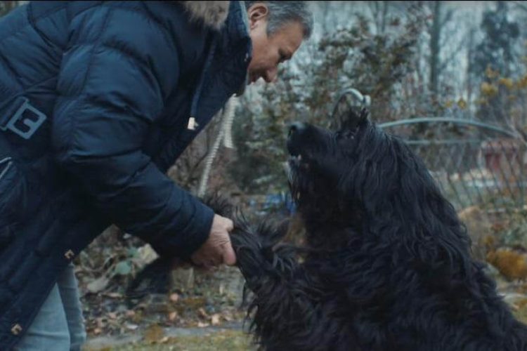 Propietaria saluda a su perro