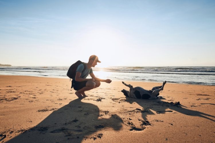 playas para perros