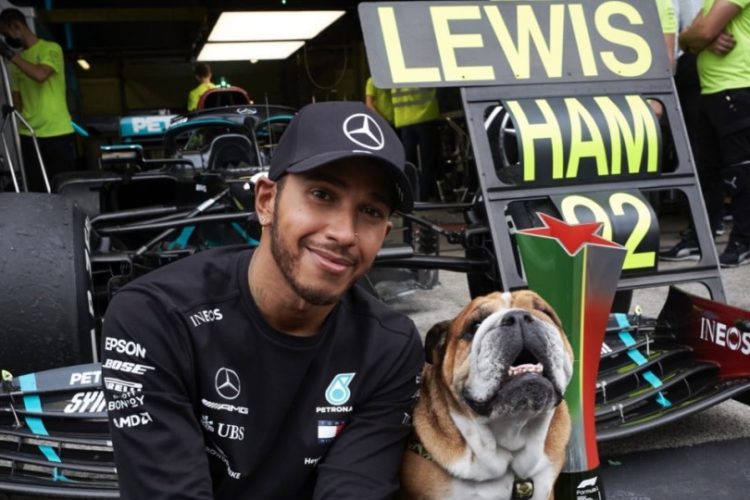 Roscoe el perro famoso de Hamilton